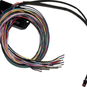 Bagger Can Bus Controller for Custom Handlebar Switches Can Bus Controller for Custom Handlebar Switches