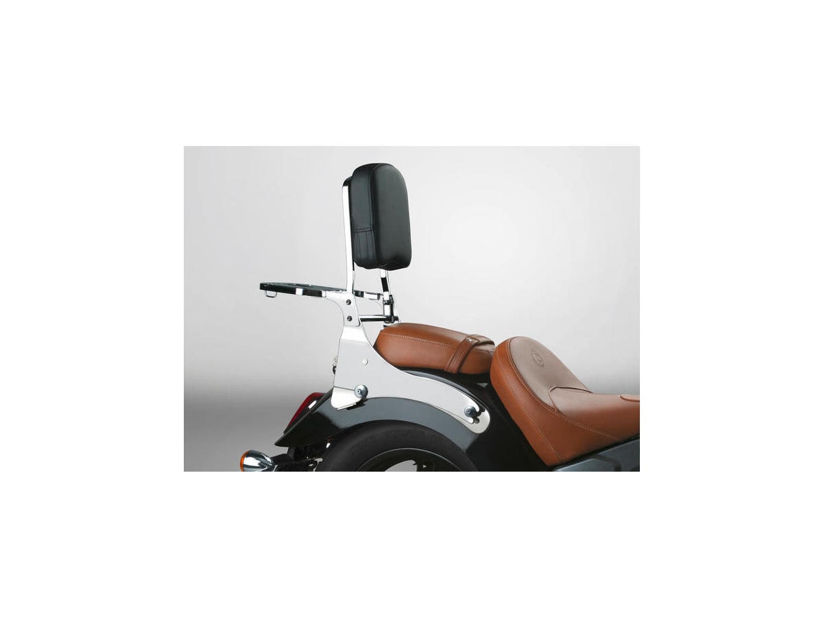 Paladin Backrest Chrome Steel
