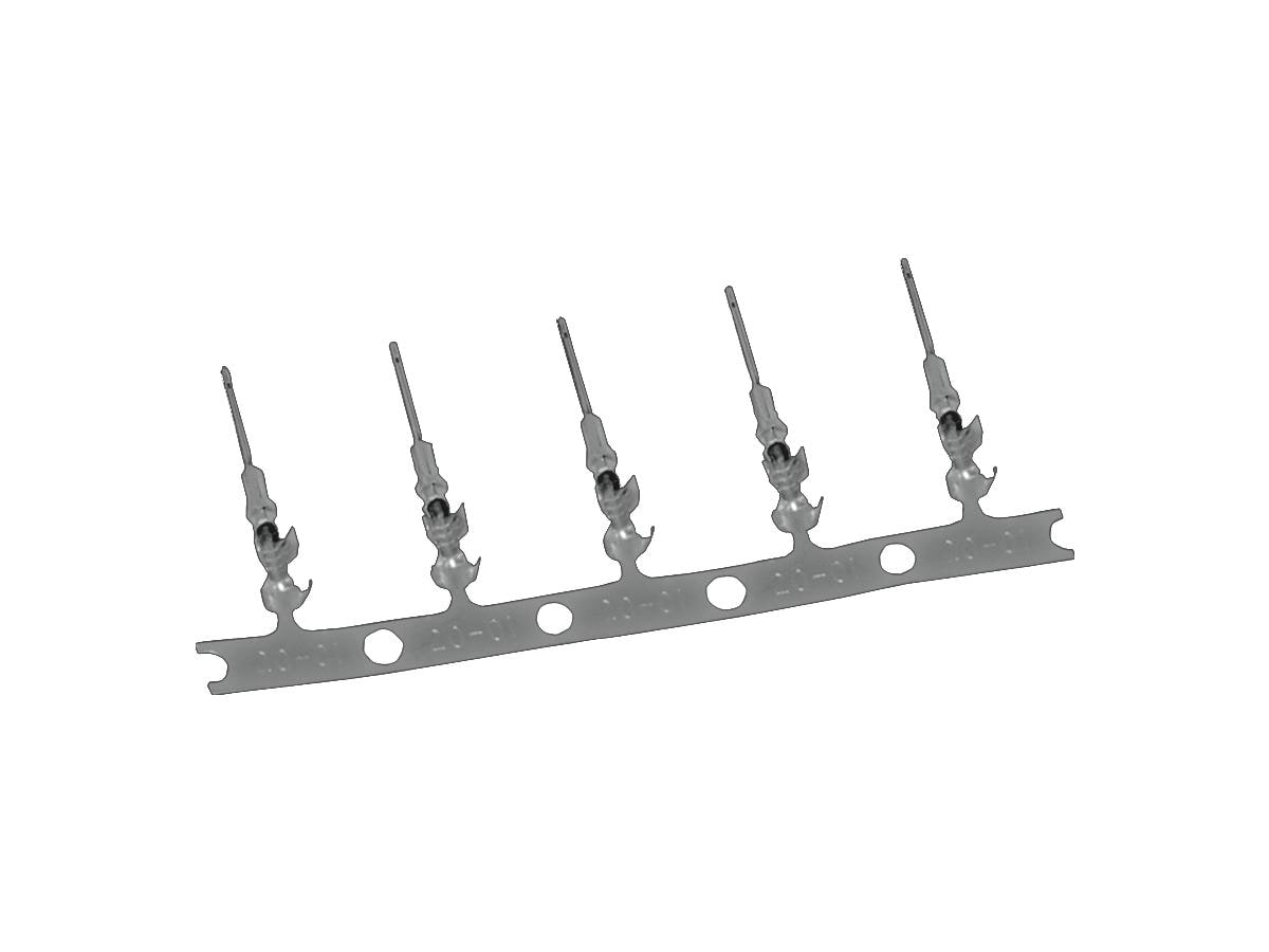 Deutsch DTM Male Socket Stamped Crimp Pins